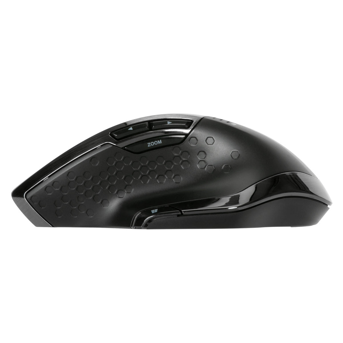 Targus AMU81AMGL souris Ambidextre USB Type-A Optique 1000 DPI - SECOMP  France