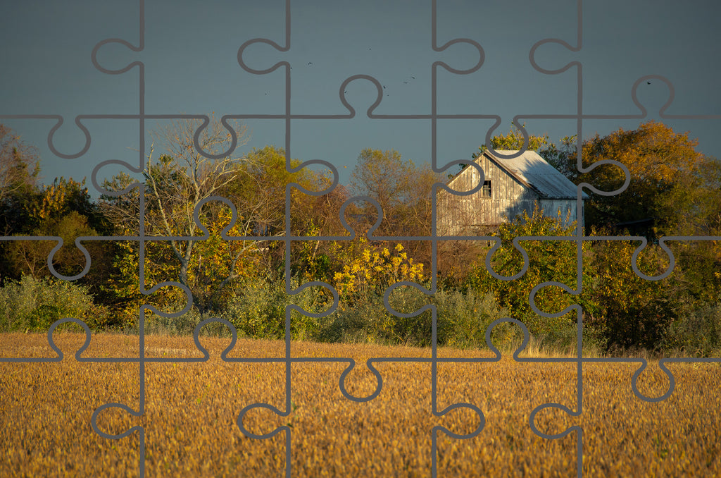 Abandoned Barn In The Trees Landscape Photo Digital Puzzle