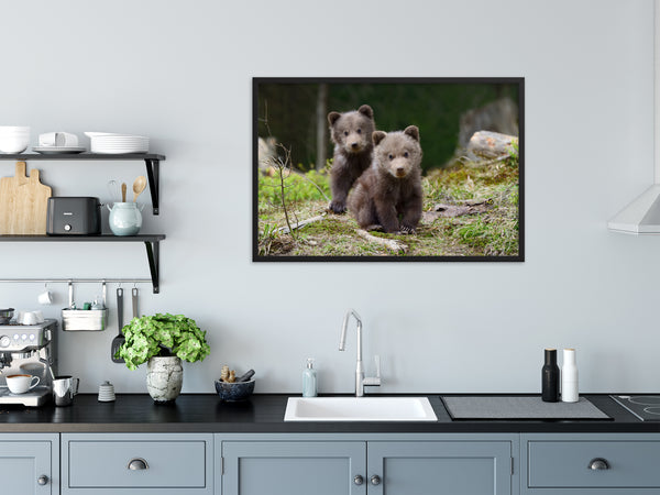 Nursery Artwork: Adorable Cubs In The Trees / Animal / Wildlife / Nature Photograph - Framed Wall Art - Decor