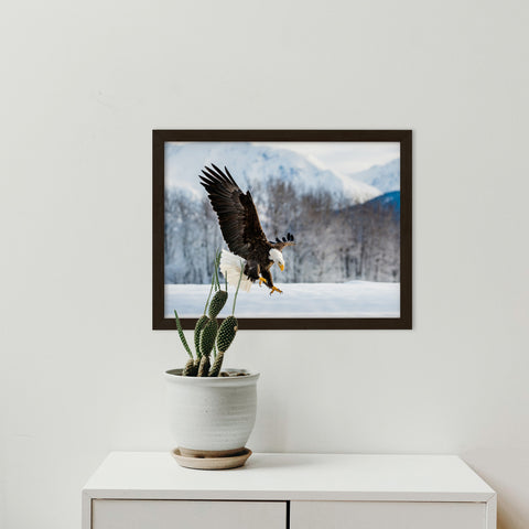 Rustic Framed Pictures: Brown and White Eagle Snowy Landscape / Animal / Wildlife / Nature Photographic Wall Art Print - Framed Artwork - Wall Decor