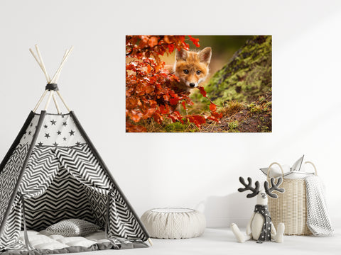Animal Prints For Nursery: Peek-A-Boo Baby Fox Pup And Fall Leaves - Animal / Wildlife / Nature Photograph / Loose / Frameable / Frameless / Unframed Wall Art Print Artwork - Wall Decor