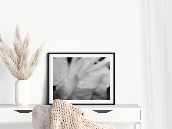 Delicate Rose Nature Photography Print in Bedroom Setting