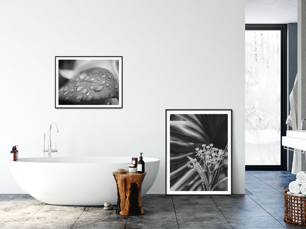 Art Prints For A Bathroom: Dew on Leaf of Rose Leaf & Bloodflowers and Palm Black and White Floral Tropical Botanical Nature Photograph Wall Art Prints