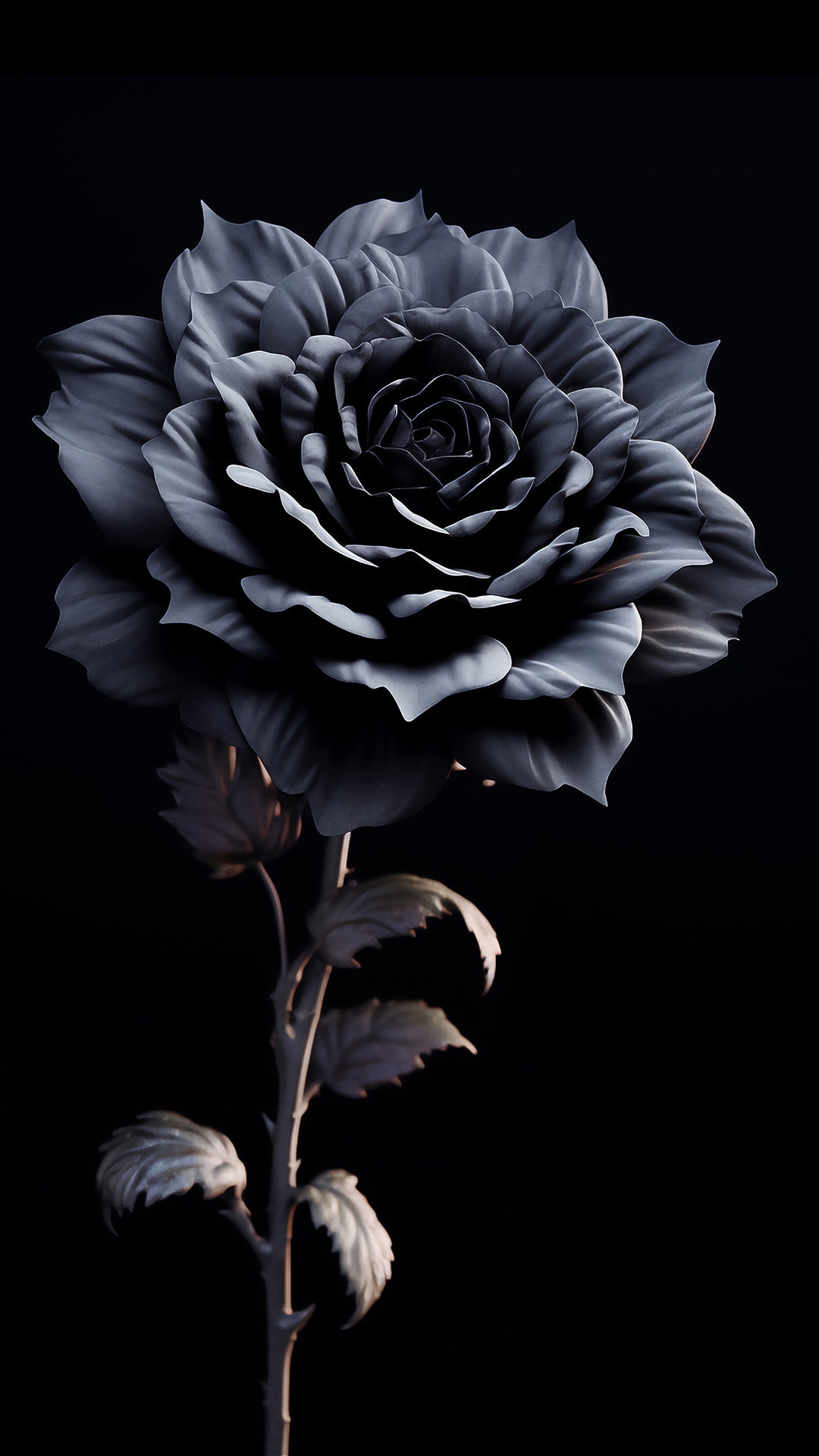 Ebony Enchantment Rose Black Flowers Photorealistic Digital Artwork Best Mobile Phone Wallpaper