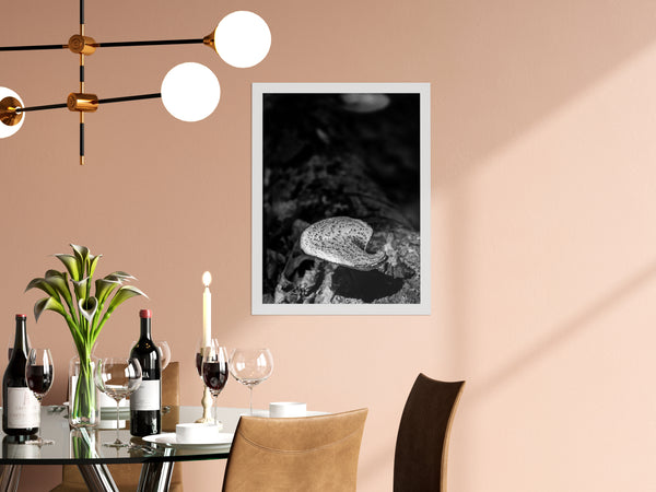 Rustic Framed Pictures: Mushroom on Log in Black and White - Botanical / Plant / Nature Photo Wall Art Print