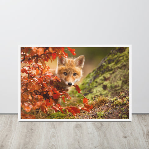 Prints For Childrens Rooms: Peek-A-Boo Baby Fox Pup And Fall Leaves - Animal / Wildlife / Nature Artwork - Wall Decor - Framed Wall Art Print
