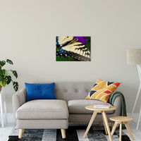 Butterfly Wings Animal / Wildlife Photograph Fine Art Canvas & Unframed Wall Art Prints 20" x 24" / Canvas Fine Art - PIPAFINEART
