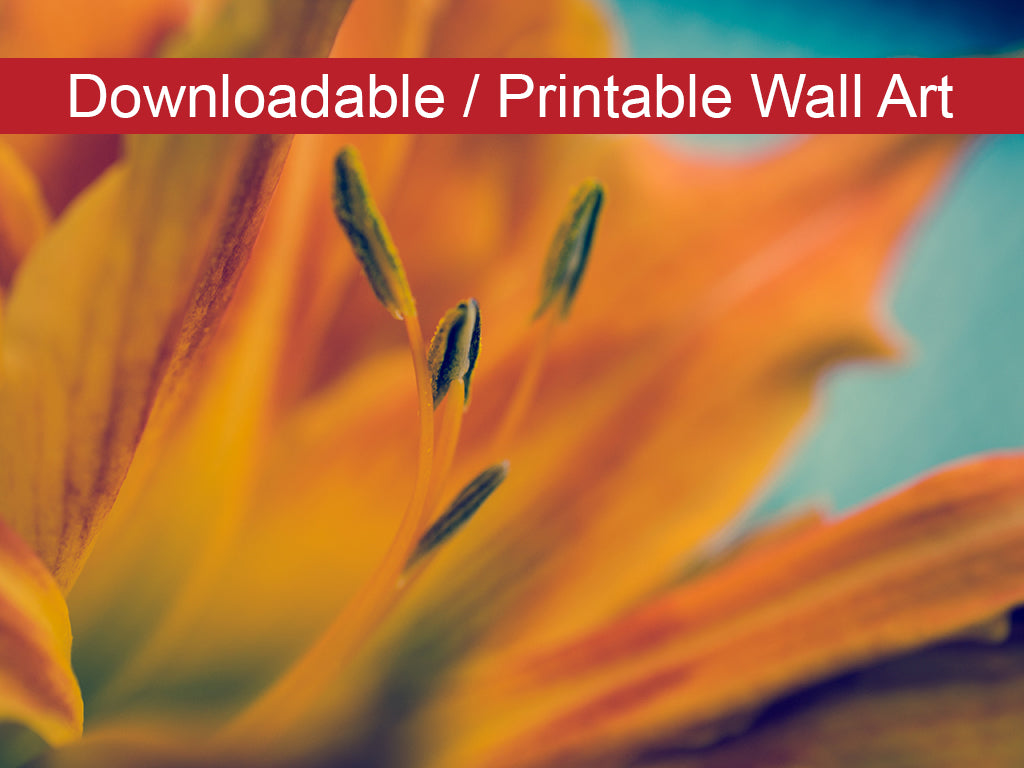 Digital Wall Art Downloadable Print Botanical Nature Photo