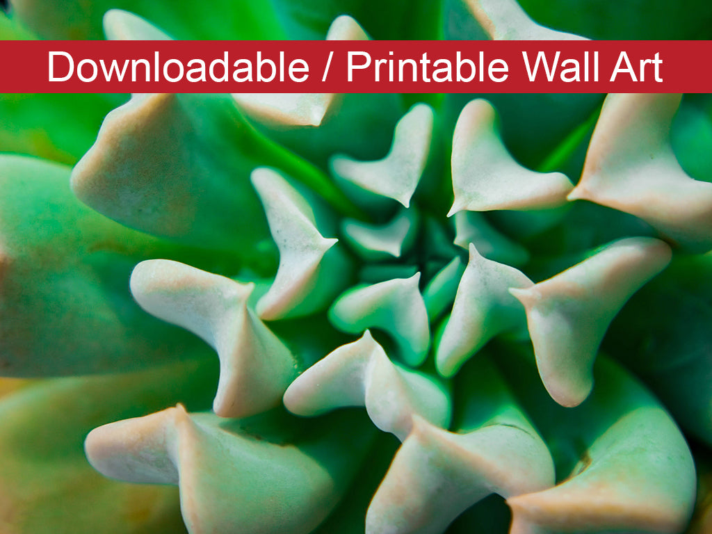 Succulent Diy Wall Decor Instant Download Print - Printable Wall Art