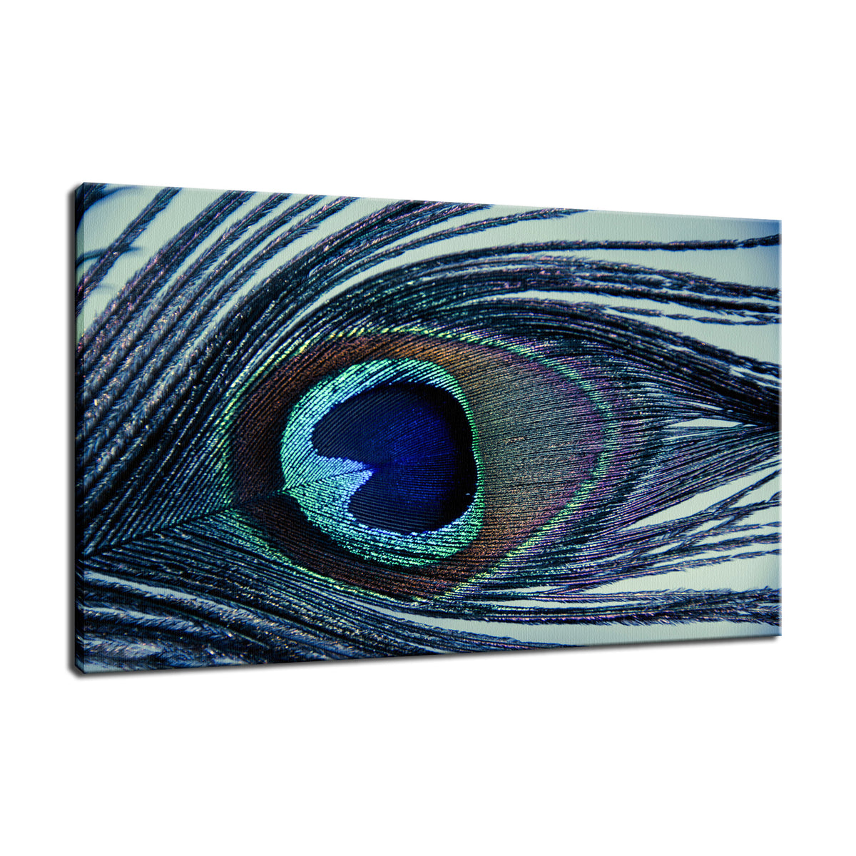 Eye of the Peacock Abstract Photo Fine Art Canvas & Unframed Wall Art