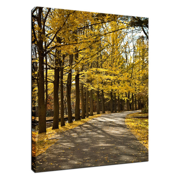 Fall Path, Autumn Leaves Fine Art Canvas Wall Art Prints