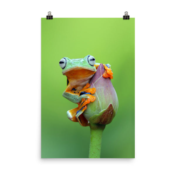 Tiny Green Tree Frog on Lotus Bloom Animal Wildlife Floral Nature Photograph Loose Wall Art Print