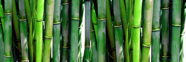 Bamboo products reduce plastic