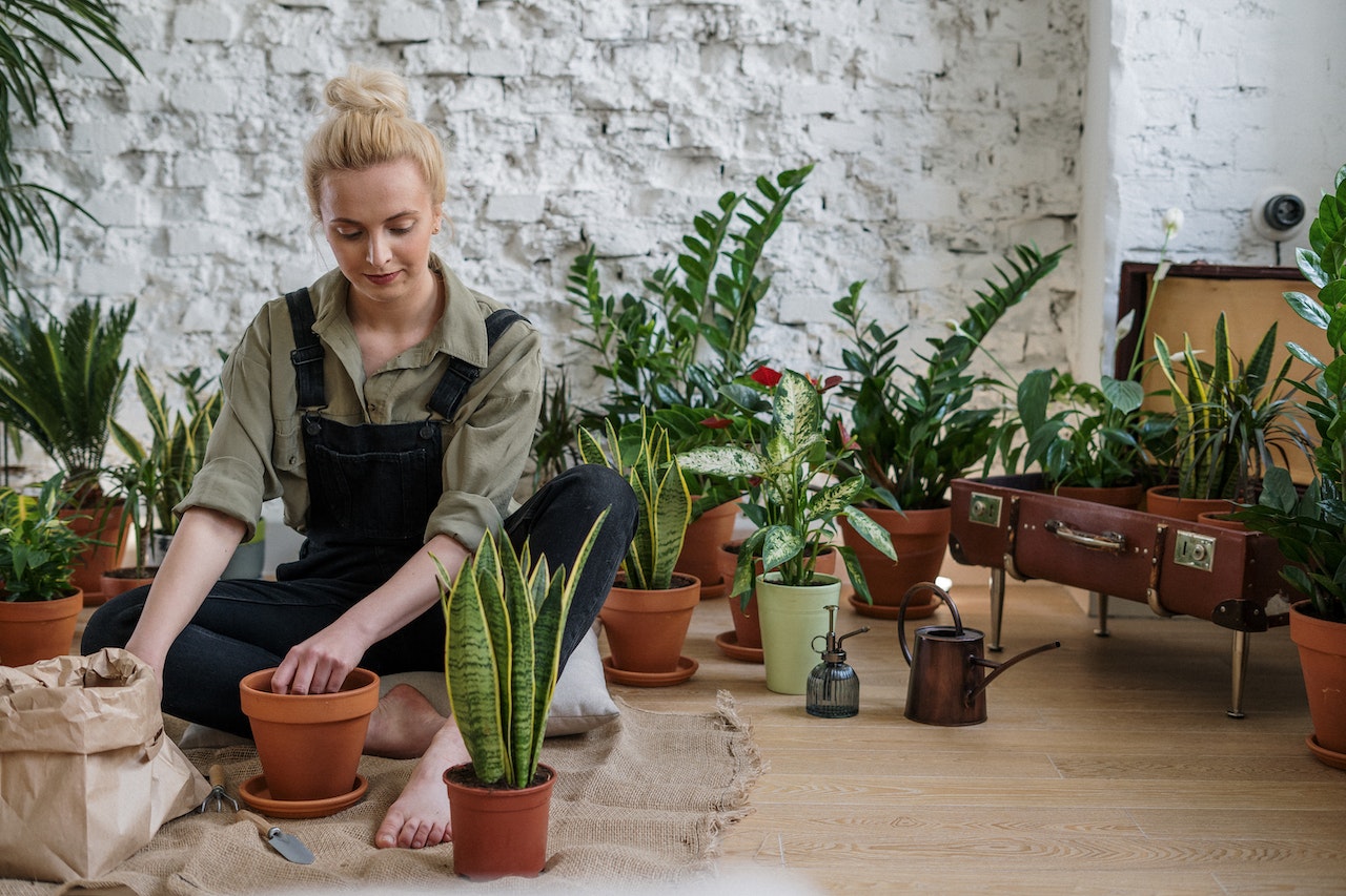 Femme qui met des plantes dans des pots - Rêver de jardinage