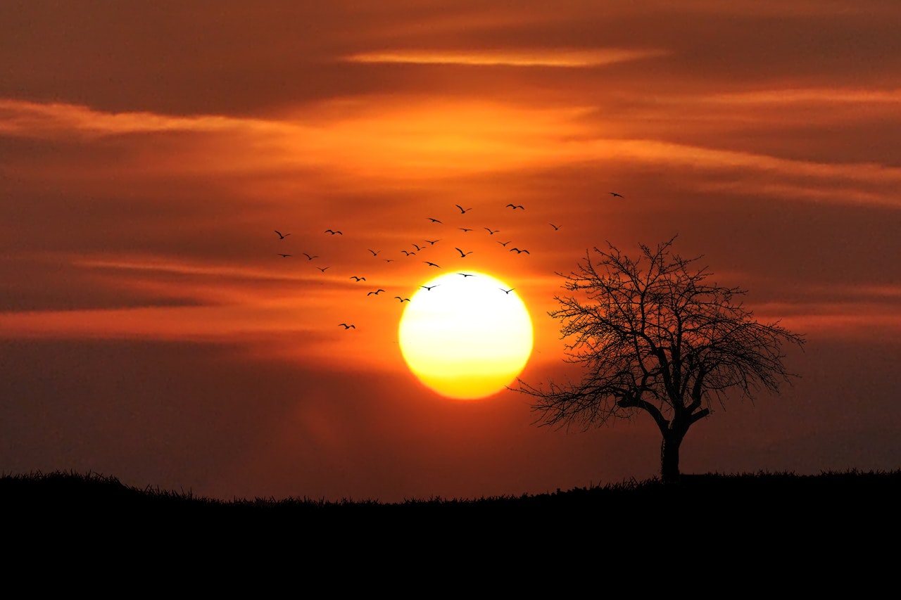 Rêver de Coucher de Soleil