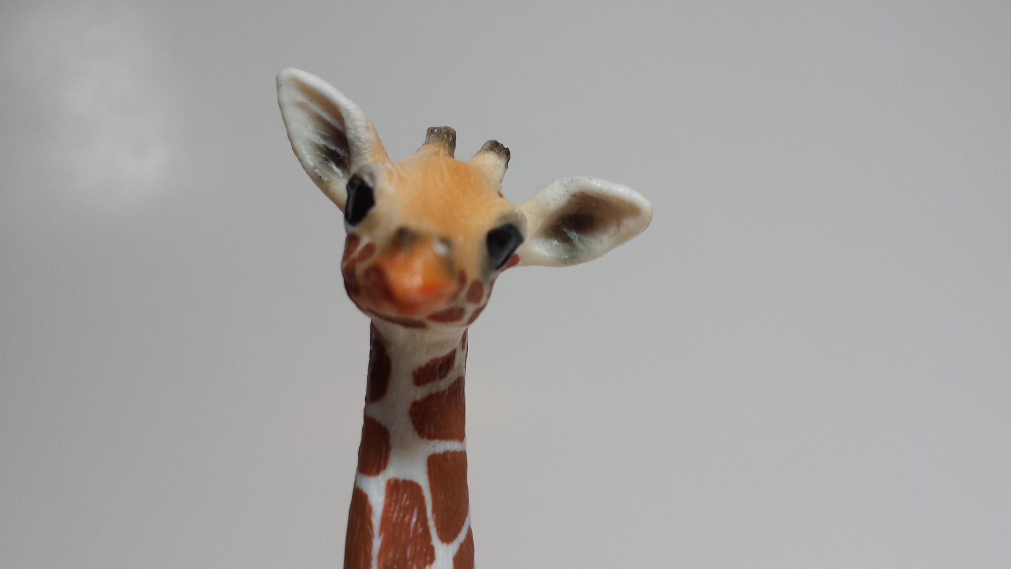 schleich wild life giraffe calf