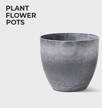 Plant Flower Pots