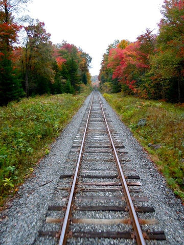 Adirondack Railroad  Scenic Train Rides in New York