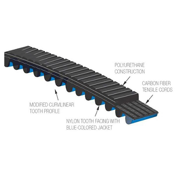 Schwinn AC Performance Plus Carbon Blue Belt Features