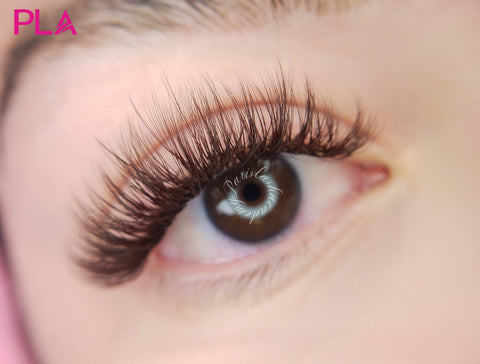 Brown Eyelash Extensions from PLA