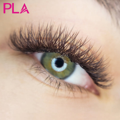 Brown Lash Extensions By PLA Beauty Inc.
