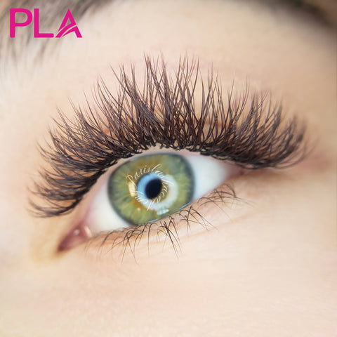 Brown Lash Extensions from PLA