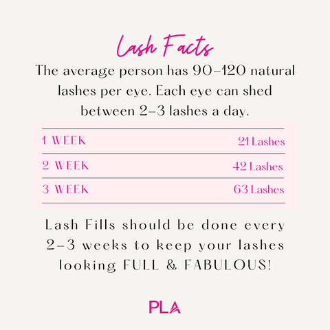 lash fill chart