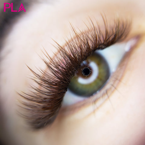 Brown Eyelashes completed with PLA's ProMade Fans