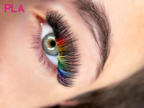 Rainbow Lashes By PLA Beauty Inc.