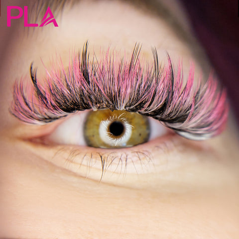 Pink Lashes From PLA Beauty Inc.