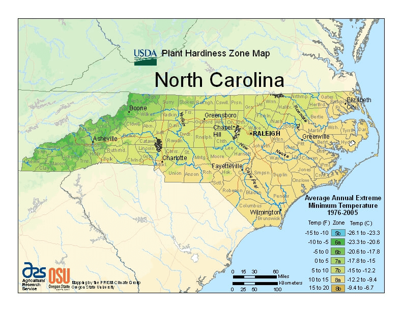 what gmt time zone is north carolina