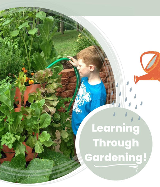 Child watering plants and vegetables in garden