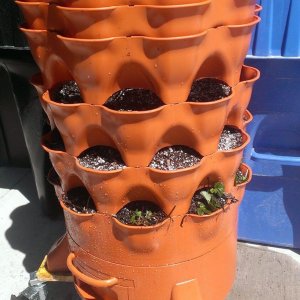 A Garden Tower planter with moveable wheels