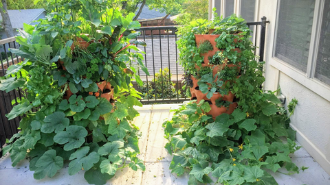 Two Garden Tower® planters in a balcony garden