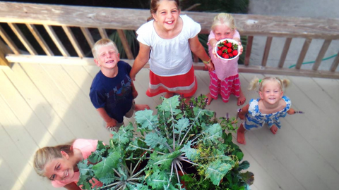 a birds eye view of 5 children around their Garden Tower® holding a bowl of freshly harvested strawberries