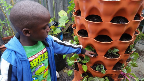 a boy planting herbs and vegetables into a Garden Tower®