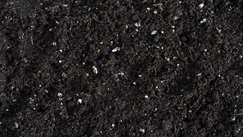 a closeup of high-quality, well-watered potting soil perfect for a vertical vegetable garden