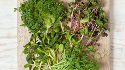 a closeup of multiple types of microgreens on a cutting board