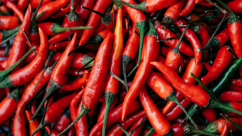 a large pile of harested chili peppers
