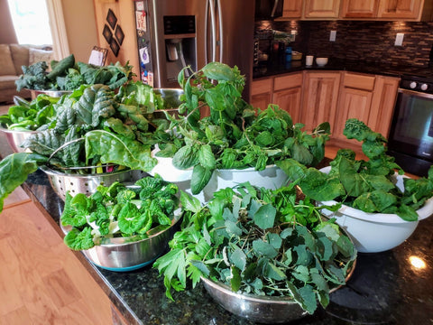 a variety of harvested leaves from a Garden Tower®