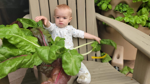 a young child sitting in a chair next to a Garden Tower® playing with harvested chard