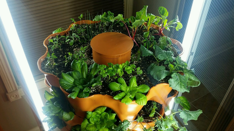 an overhead shot of a Garden Tower® being illuminated by LED grow lights indoors