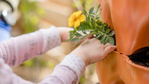 child planting flower in Garden Tower®