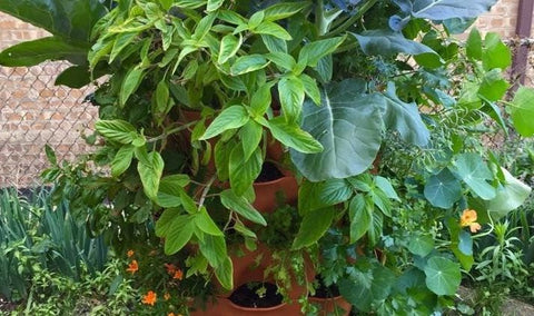 closeup of Garden Tower® with a variety of different vegetables growing