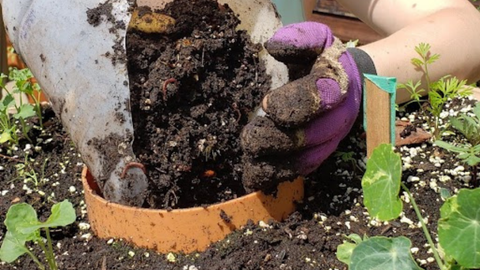 closeup of a person putting compost into the built-in compost tube of their vertical vegetable garden