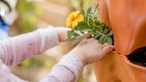 closeup of child planting flower in Garden Tower®