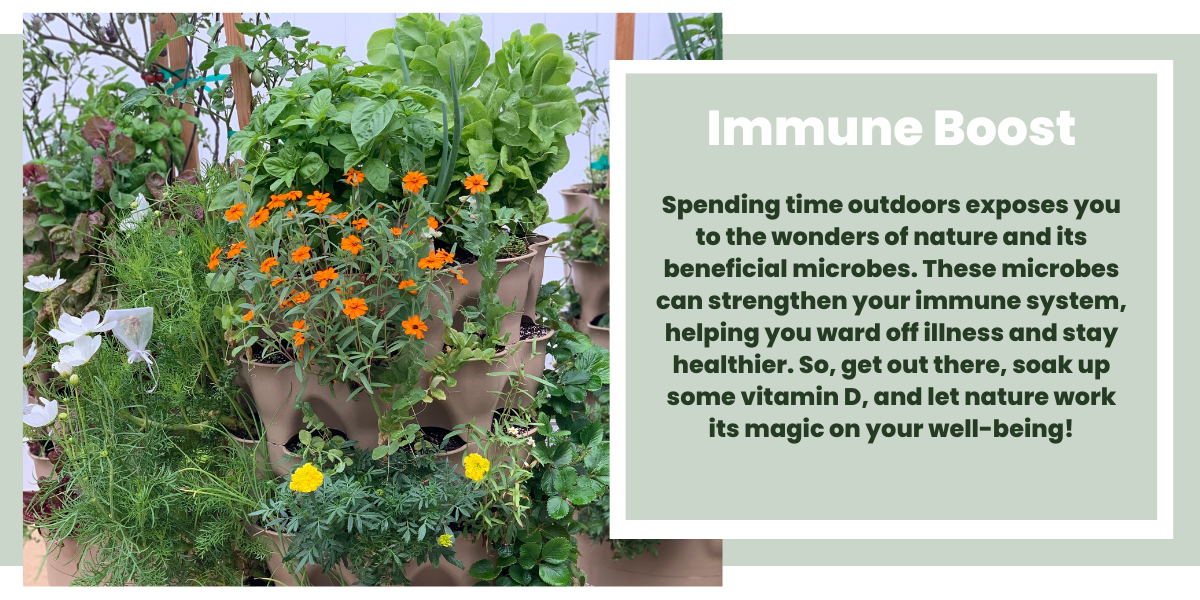 Immune Boost - Spending time outdoors exposes you to the wonders of nature and its beneficial microbes. These microbes can strengthen your immune system, helping you ward off illness and stay healthier. So, get out there, soak up some vitamin D, and let nature work its magic on your well-being!