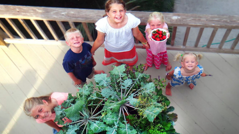 overhead shot of 5 children and the strawberries they harvested from their vertical vegetable garden