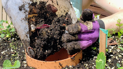 person placing compost into the compost tube of the Garden Tower®