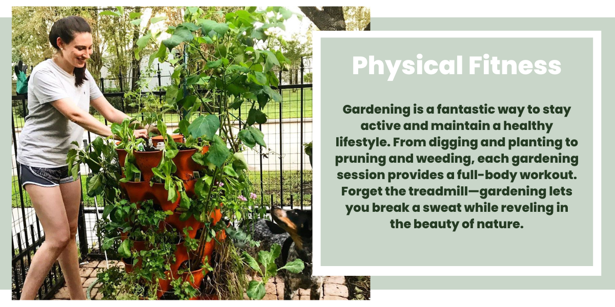 Physical Fitness - Gardening is a fantastic way to stay active and maintain a healthy lifestyle. From digging and planting to pruning and weeding, each gardening session provides a full-body workout. Forget the treadmill—gardening lets you break a sweat while reveling in the beauty of nature.